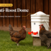 Chicken Waterer with Anti-Roost Dome