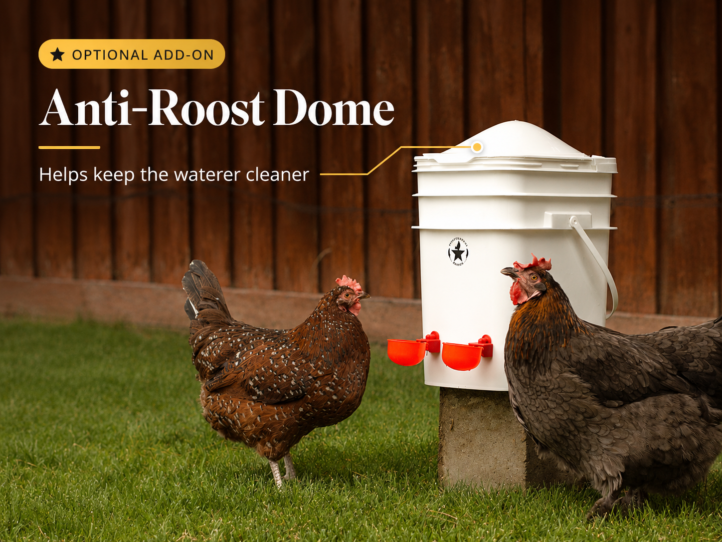 Chicken Waterer with Anti-Roost Dome