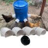 Chickens eating out of a blue barrel feeder. Shows four ports and hole saw bit.