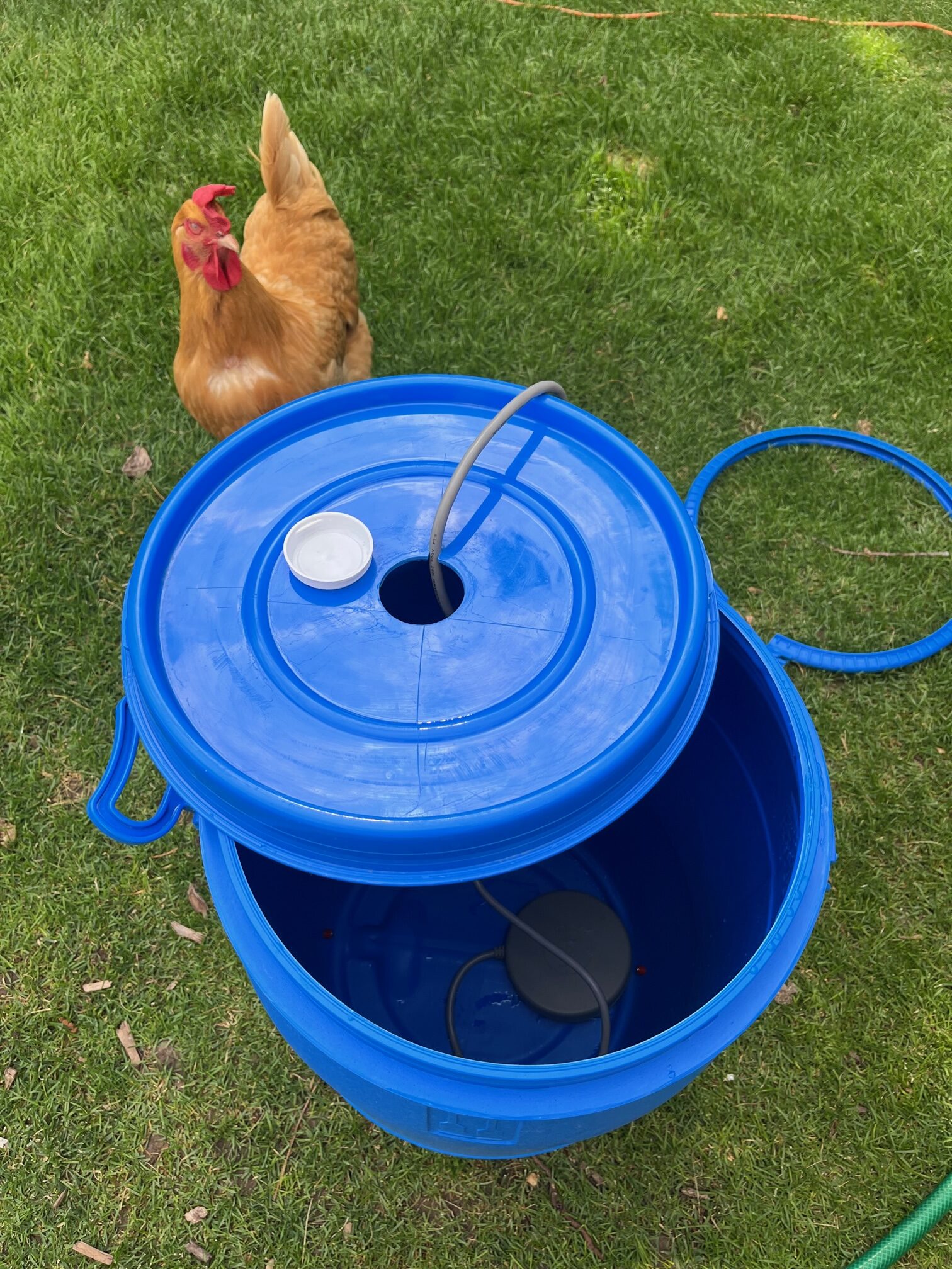 Shows submersible heater inside waterer